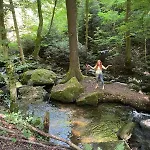 Pilgerrosenhof Privatunterkunft Maria Taferl