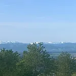 Pilgerrosenhof *