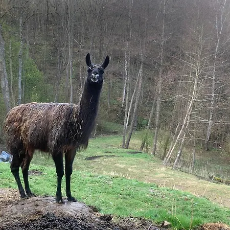 Pilgerrosenhof בית אירוח *