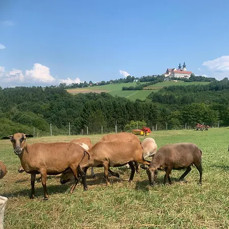 Pilgerrosenhof מריה טפרל