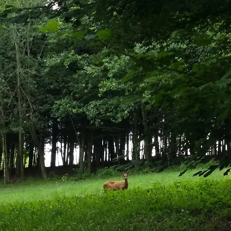 Pilgerrosenhof Privat bolig