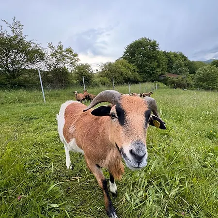 Pilgerrosenhof Privat bolig