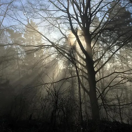 Pilgerrosenhof בית אירוח מריה טפרל