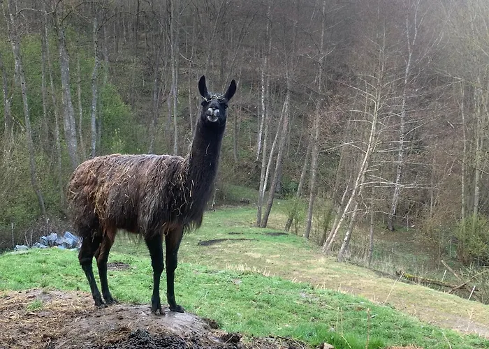 Pilgerrosenhof Séjour chez l'habitant *