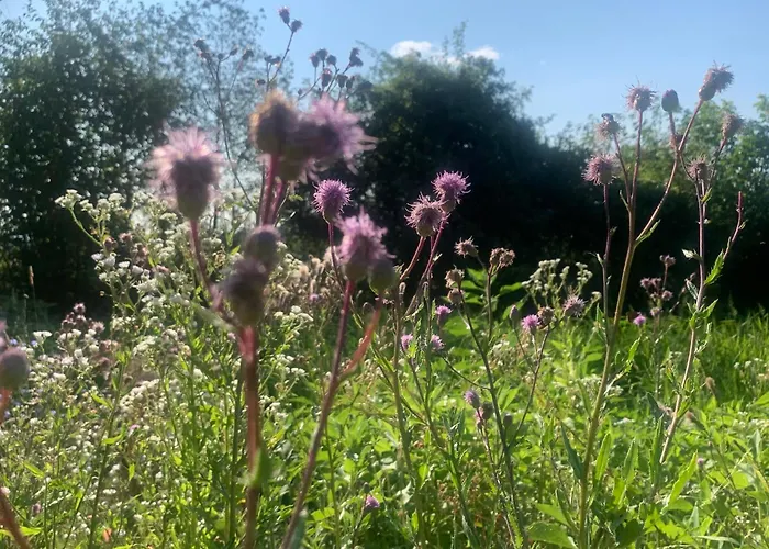 Accommodatie bij particulieren Pilgerrosenhof