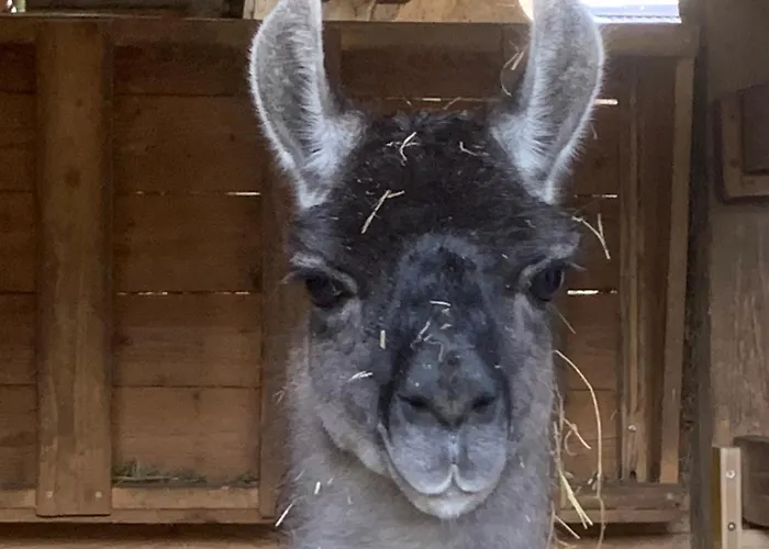 Pilgerrosenhof Séjour chez l'habitant *