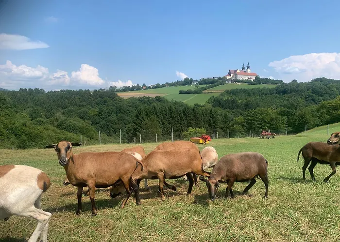 Pilgerrosenhof Maria Taferl