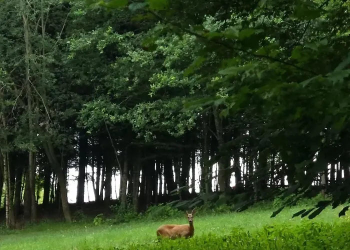 Pilgerrosenhof Accommodatie bij particulieren