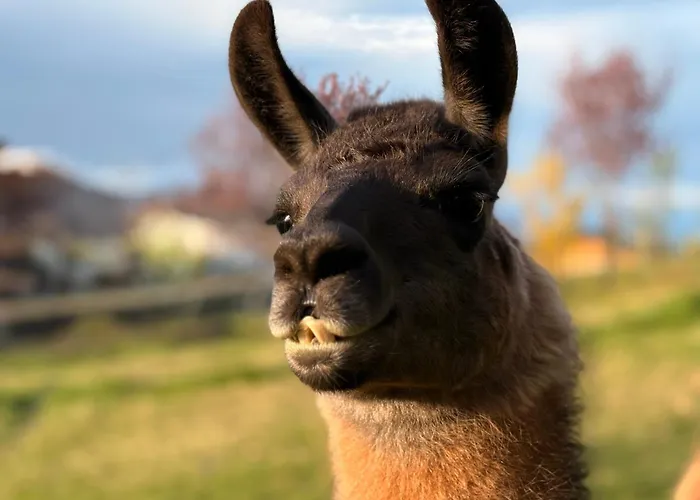 Pilgerrosenhof Séjour chez l'habitant *