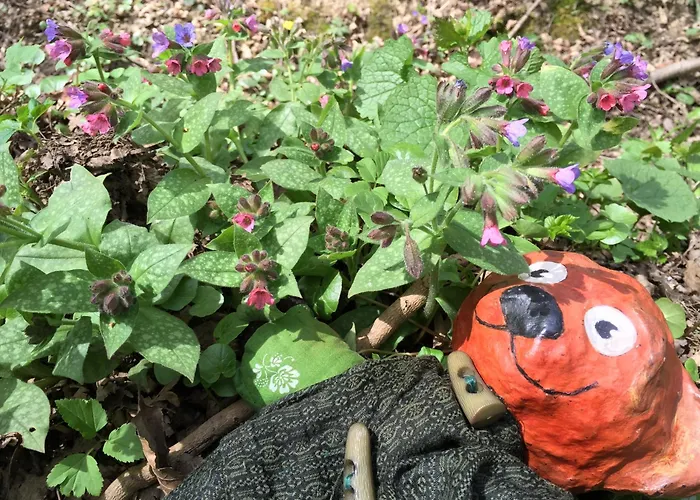 Accommodatie bij particulieren Pilgerrosenhof Maria Taferl