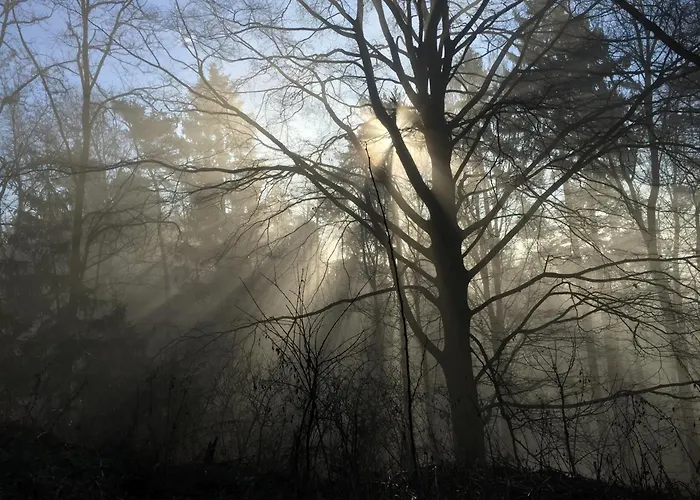 Pilgerrosenhof Δωμάτια σε οικογενειακή κατοικία Maria Taferl